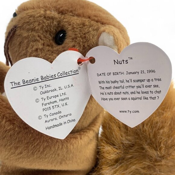 TY Beanie Babies Nuts The Squirrel 8" Plush Toy Brown Collectible 1996 NWT - Picture 3 of 6